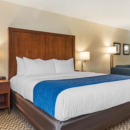 Comfort Inn & Suites Near Route 66 Lincoln Cameră foto