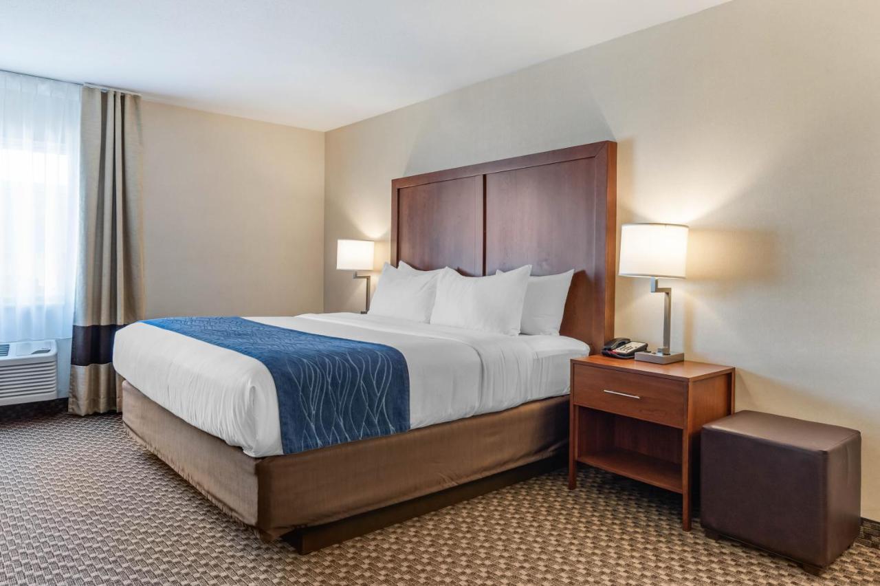 Comfort Inn & Suites Near Route 66 Lincoln Cameră foto